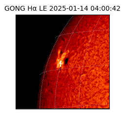 gong - 2025-01-14T04:00:42
