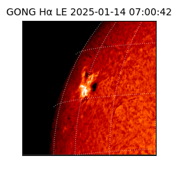 gong - 2025-01-14T07:00:42