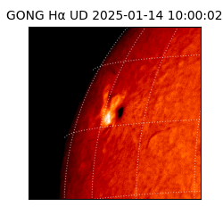 gong - 2025-01-14T10:00:02