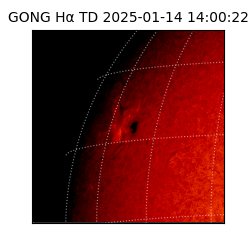 gong - 2025-01-14T14:00:22