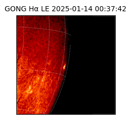 gong - 2025-01-14T00:37:42