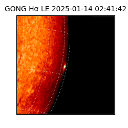 gong - 2025-01-14T02:41:42