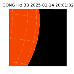 gong - 2025-01-14T20:01:02