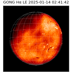 gong - 2025-01-14T02:41:42