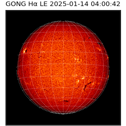 gong - 2025-01-14T04:00:42