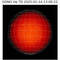 gong - 2025-01-14T13:00:22