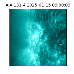 saia - 2025-01-15T09:00:09.122000