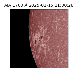 saia - 2025-01-15T11:00:28.718000