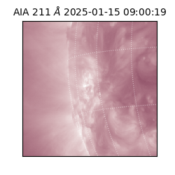 saia - 2025-01-15T09:00:19.476000