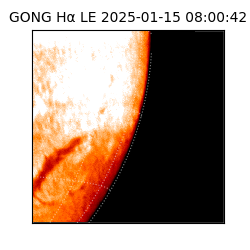 gong - 2025-01-15T08:00:42