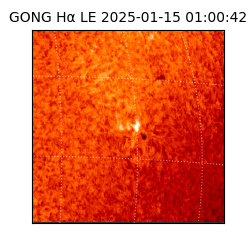 gong - 2025-01-15T01:00:42