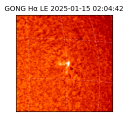 gong - 2025-01-15T02:04:42