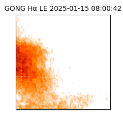 gong - 2025-01-15T08:00:42