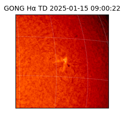 gong - 2025-01-15T09:00:22