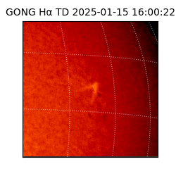gong - 2025-01-15T16:00:22