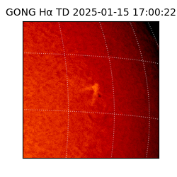gong - 2025-01-15T17:00:22