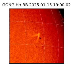 gong - 2025-01-15T19:00:02