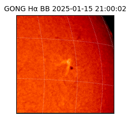 gong - 2025-01-15T21:00:02