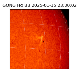 gong - 2025-01-15T23:00:02