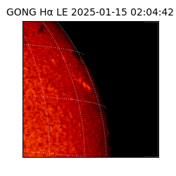 gong - 2025-01-15T02:04:42