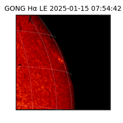 gong - 2025-01-15T07:54:42
