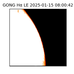 gong - 2025-01-15T08:00:42