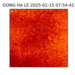 gong - 2025-01-15T07:54:42