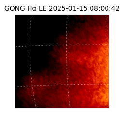 gong - 2025-01-15T08:00:42