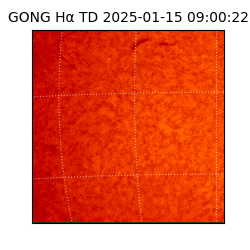 gong - 2025-01-15T09:00:22
