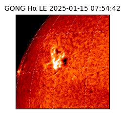 gong - 2025-01-15T07:54:42