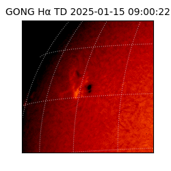 gong - 2025-01-15T09:00:22