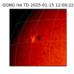 gong - 2025-01-15T12:00:22