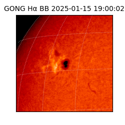 gong - 2025-01-15T19:00:02