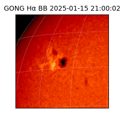 gong - 2025-01-15T21:00:02
