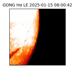 gong - 2025-01-15T08:00:42