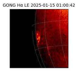 gong - 2025-01-15T01:00:42