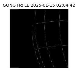 gong - 2025-01-15T02:04:42