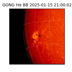 gong - 2025-01-15T21:00:02