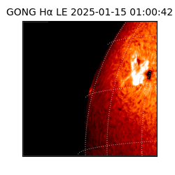gong - 2025-01-15T01:00:42