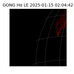gong - 2025-01-15T02:04:42