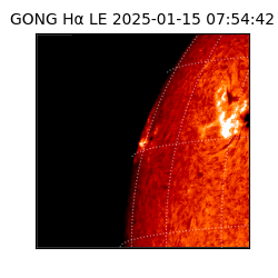 gong - 2025-01-15T07:54:42
