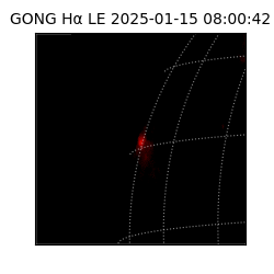 gong - 2025-01-15T08:00:42