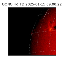 gong - 2025-01-15T09:00:22