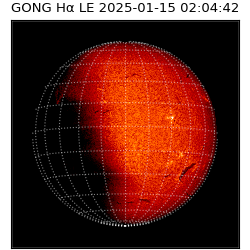 gong - 2025-01-15T02:04:42