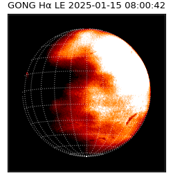 gong - 2025-01-15T08:00:42