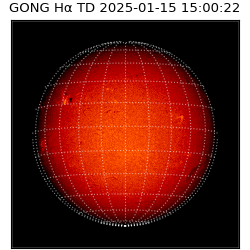 gong - 2025-01-15T15:00:22