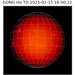 gong - 2025-01-15T16:00:22
