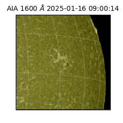 saia - 2025-01-16T09:00:14.129000