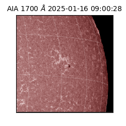 saia - 2025-01-16T09:00:28.710000