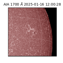 saia - 2025-01-16T12:00:28.727000